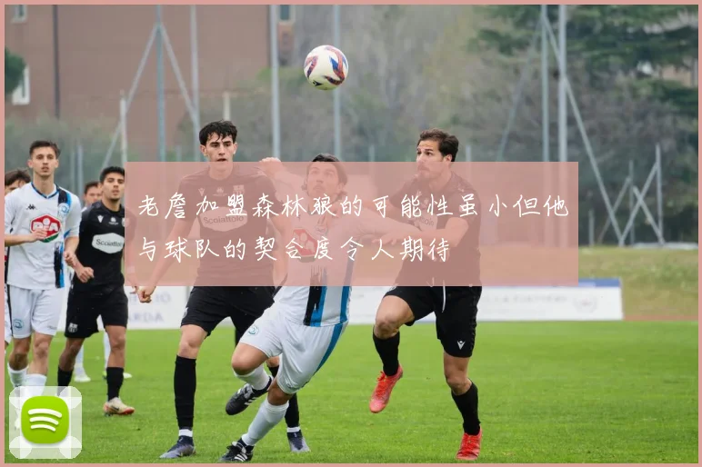 老詹加盟森林狼的可能性虽小但他与球队的契合度令人期待